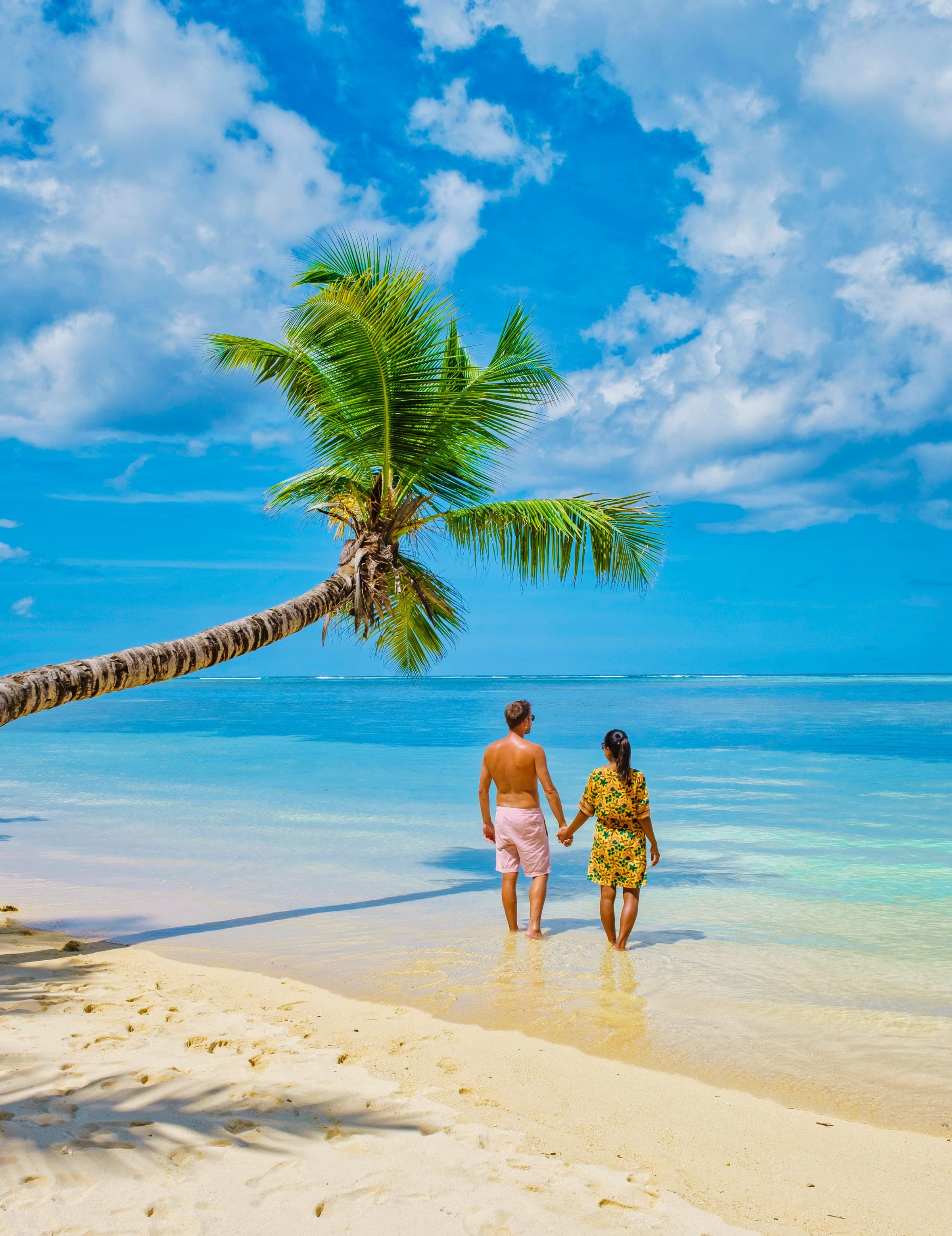 Couple walking a palm-lined beach in Seychelles