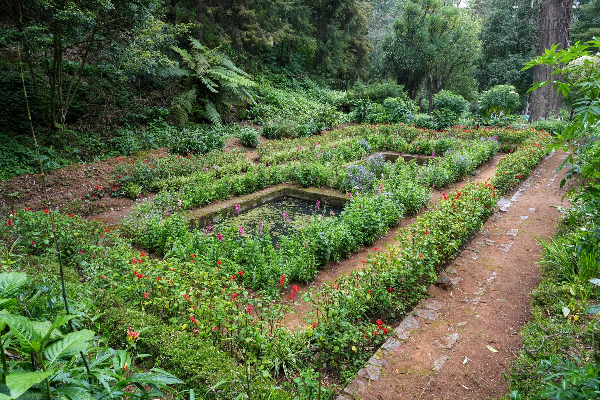Manicured lawns and flower beds at the Government Botanical Garden in Ooty